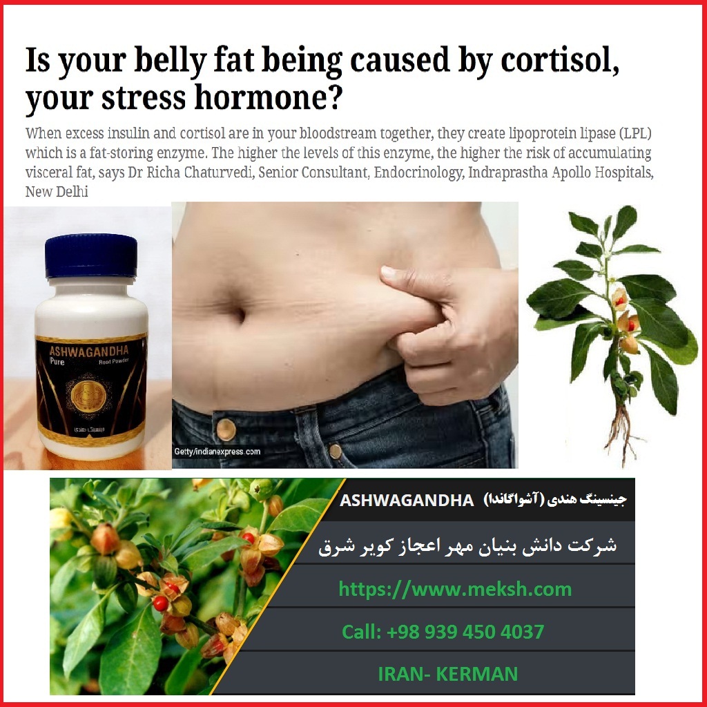 cortisol and fat